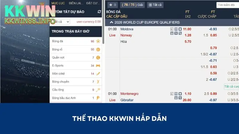 Cá cược thể thao đẳng cấp tại nhà cái hàng đầu hiện nay